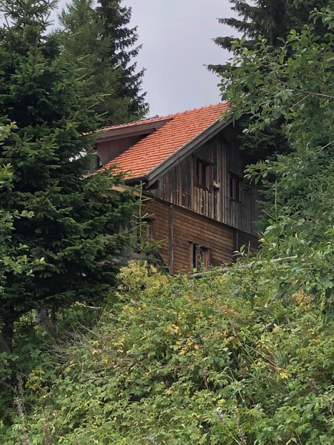 Haus Hanna Wolfsberg Zewnętrze zdjęcie